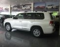 Toyota Land Cruiser 5.7 VX 2017 - Cần bán Toyota Land Cruiser 5.7 VX năm 2017, màu trắng, xe nhập