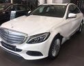 Mercedes-Benz C250 2017 - Mercedes C250 Exclusive 2017 tốc độ trong vùng bị giới hạn