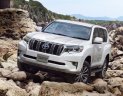 Toyota Land Cruiser Prado VX 2017 - Bán Toyota Land Cruiser Prado VX đời 2018, màu trắng, nhập khẩu nguyên chiếc giao ngay trong tháng