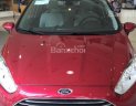 Ford Fiesta 1.5L AT Sport 2017 - Bán Ford Fiesta 1.5L AT Sport - Đủ màu giao ngay - LH ngay 0904529239 để có giá khuyến mãi tốt nhất