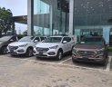 Hyundai Santa Fe 2017 - Cần bán xe Hyundai Santa Fe, màu nâu, giao ngay