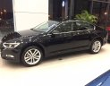 Volkswagen Passat Bluemotion 2017 - Xe Passat 2018, giảm giá cực sốc, nhập khẩu Đức 100%