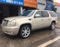 Cadillac Escalade 2009 - Bán Cadillac Escalade đời 2009, nhập khẩu số tự động