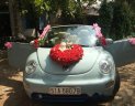 Volkswagen Beetle   2007 - Bán Volkswagen Beetle đời 2007, xe nhập