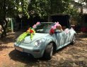 Volkswagen Beetle   2007 - Bán Volkswagen Beetle đời 2007, xe nhập