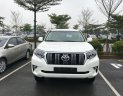 Toyota Land Cruiser Prado VX 2018 - Bán xe Toyota Land Cruiser Prado VX đời 2018, xe nhập mới 100%, đủ màu, giá bán buôn