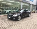 Mercedes-Benz E class E250 AT 2010 - Cần bán Mercedes E250 năm 2010, màu nâu