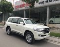 Toyota Land Cruiser VX 2018 - Bán Toyota Land Cruiser năm 2018 màu trắng, 3 tỷ 650 triệu, nhập khẩu nguyên chiếc