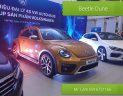 Volkswagen New Beetle AT 2017 - Bán Volkswagen New Beetle năm 2017, màu xám (ghi), xe nhập