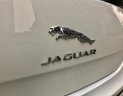 Jaguar XJ 2.0 2014 - Chính chủ bán xe Jaguar XJ 2.0 đời 2014, màu trắng, xe nhập