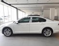 Volkswagen Passat 2017 - Cần bán Volkswagen Passat đời 2017, màu trắng, nhập khẩu nguyên chiếc