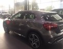 Mercedes-Benz GLA-Class GLA250 2017 - Bán xe Mercedes GLA250 4Matic giá cực tốt