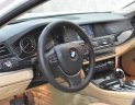 BMW 528i 2013 - Bán BMW 528i đời 2013, màu trắng, xe nhập, số tự động