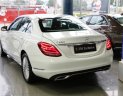 Mercedes-Benz C class C250 2017 - Bán xe Mercedes C250 Exclusive giá tốt nhất toàn quốc, có xe giao ngay