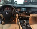 BMW 5 Series 2013 - Cần bán lại xe BMW 5 Series đời 2013, nhập khẩu nguyên chiếc