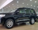 Toyota Land Cruiser VX 2018 - Cần bán xe Toyota Land Cruiser VX đời 2018, màu đen, xe nhập