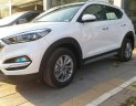 Hyundai Tucson 2.0MPI 2018 - Bán xe Hyundai Tucson 2.0MPI năm 2018, màu trắng, giá chỉ 755 triệu