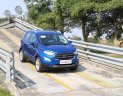 Ford EcoSport 2018 - Thông báo giá chính thức giá Ford Ecosport 2019, hỗ trợ trả góp 80%, giao xe ngay tại An Đô Ford