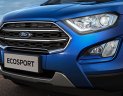 Ford EcoSport VIP 2018 - Sập sàn Ford Ecosport 2018 - khuyến mãi đặc biệt tặng BHVC 2 chiều