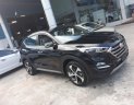 Hyundai Tucson 2.0   2018 - Bán Hyundai Tucson 2.0 xăng bản đặc biệt Hyundai Cần Thơ, Hyundai Tây Đô