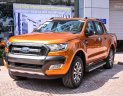 Ford Ranger 2017 - Bán Ford Ranger Wildtrak 3.2 4x4 - Hỗ trợ vay 80% không cần chứng minh thu nhập