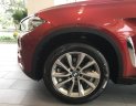 BMW X6 xDrive35i 2017 - Hot Nhất Tháng 5 - Bán BMW X6 xDrive35i Flamenco Red - Nhập khẩu nguyên chiếc mới 100%- Giao xe ngay 0938906047