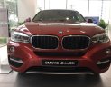 BMW X6 xDrive35i 2017 - Hot Nhất Tháng 5 - Bán BMW X6 xDrive35i Flamenco Red - Nhập khẩu nguyên chiếc mới 100%- Giao xe ngay 0938906047