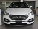 Hyundai Santa Fe 2.2 AT 2WD 2018 - Bán Hyundai Santa Fe mới 2018 bản đặc biệt, Giao xe ngay, đủ màu - 0939.617.271