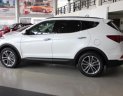 Hyundai Santa Fe 2.2 AT 2WD 2018 - Bán Hyundai Santa Fe mới 2018 bản đặc biệt, Giao xe ngay, đủ màu - 0939.617.271