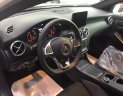 Mercedes-Benz A class A250  2017 - Bán xe Mercedes A250 giá cực tốt,có xe giao ngay
