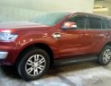 Ford Everest AT 2016 - Bán xe Ford Everest 2016 AT, 1 tỷ 093tr, 18.000km, BH đến 5/2019, xe chạy lướt không lỗi