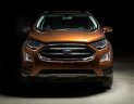 Ford EcoSport 1.5 titanium 2018 - Bán xe Ford Ecosport 1.5 Titanium hoàn toàn mới, giá tốt nhất, hỗ trợ trả góp 90% giá xe