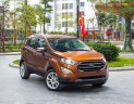 Ford EcoSport 1.0 Ecoboost 2018 - Cần bán Ford EcoSport 1.0 Ecoboost đời 2018, màu nâu, 689tr