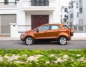 Ford EcoSport 1.0 Ecoboost 2018 - Cần bán Ford EcoSport 1.0 Ecoboost đời 2018, màu nâu, 689tr