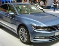 Volkswagen Passat 2018 - Giá xe Volkswagen Passat Bluemotion 2018 – Hotline: 0909 717 983