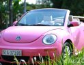 Volkswagen Beetle   2009 - Cần bán lại xe Volkswagen Beetle 2009, màu hồng, nhập khẩu