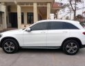 Mercedes-Benz GLC-Class 2017 - Bán xe Mercedes đời 2017, màu trắng, nhập khẩu nguyên chiếc ít sử dụng