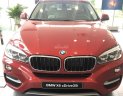 BMW X6 xDrive35i 2017 - Cần bán xe BMW X6 xDrive35i màu đỏ, nhập khẩu chính hãng, Lh: 0978877754 Ms Phượng