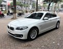 BMW 5 Series 520i 2015 - Cần bán BMW 5 Series sản xuất năm 2015, màu trắng, nhập khẩu