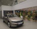 Volkswagen Passat 2018 - Volkswagen Passat 2018 TSI 1.8 turbo Charge chính hãng nhập khẩu – Hotline: 0909 717 983