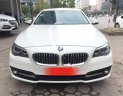 BMW 5 Series 520i 2015 - Bán ô tô BMW 5 Series 520i năm 2015, màu trắng, nhập khẩu đẹp như mới