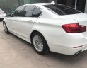 BMW 5 Series 520i 2015 - Bán ô tô BMW 5 Series 520i năm 2015, màu trắng, nhập khẩu đẹp như mới