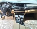 BMW 5 Series 520i 2015 - Bán ô tô BMW 5 Series 520i năm 2015, màu trắng, nhập khẩu đẹp như mới