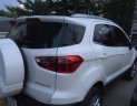 Ford EcoSport Titanium 2018 - Chuyên bán xe Ford EcoSport Tita 2018- Ưu đãi BHVC, camera hành trình/dán kính 3M