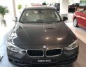 BMW 3 Series 320i 2017 - Bán BMW 3 Series 320i SX 2017, màu xám, nhập khẩu