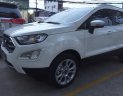 Ford EcoSport Titanium 2018 - Chuyên bán xe Ford EcoSport Tita 2018- Ưu đãi BHVC, camera hành trình/dán kính 3M