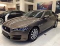 Jaguar XE 2016 - Bán ô tô Jaguar XE đời 2016