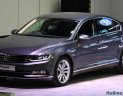 Volkswagen Passat 2018 - Bán Volkswagen Passat 2018 – Gia vị mới trong phân khúc sedan hạng D
