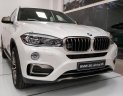 BMW X6 xDrive35i 2017 - Bán BMW chính hãng - BMW X6 xDrive35i, màu trắng, nhập khẩu, trả trước 290 triệu giao ngay