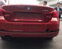 BMW 4 Series   2.0L AT  2017 - Bán ô tô BMW 4 Series 2.0L AT 2017, màu đỏ, xe nhập